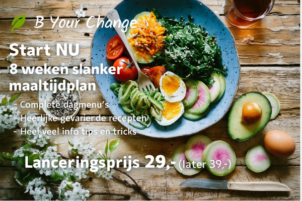 E Book 8 weken maaltijd plan