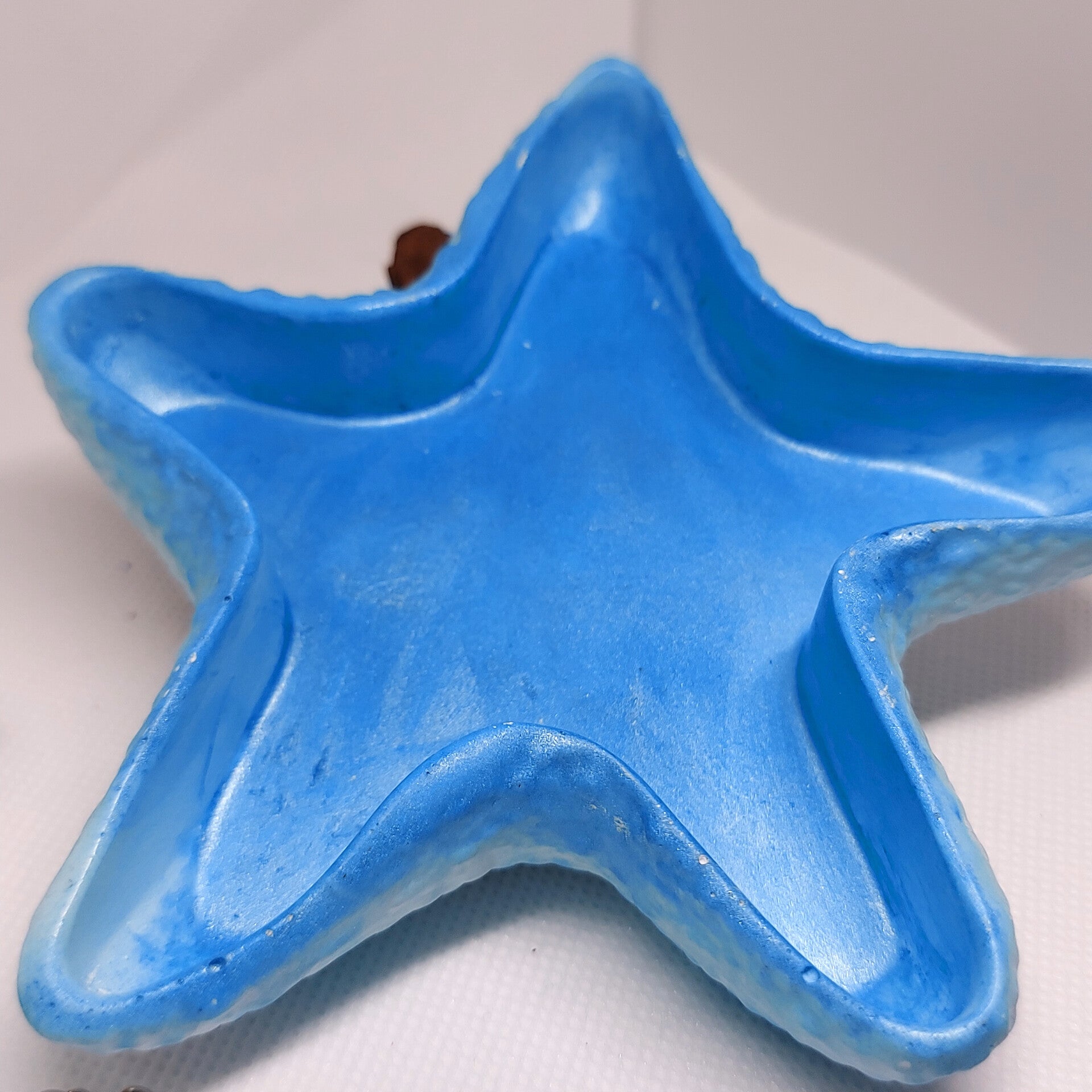 Piattino stella marina in polvere di ceramica