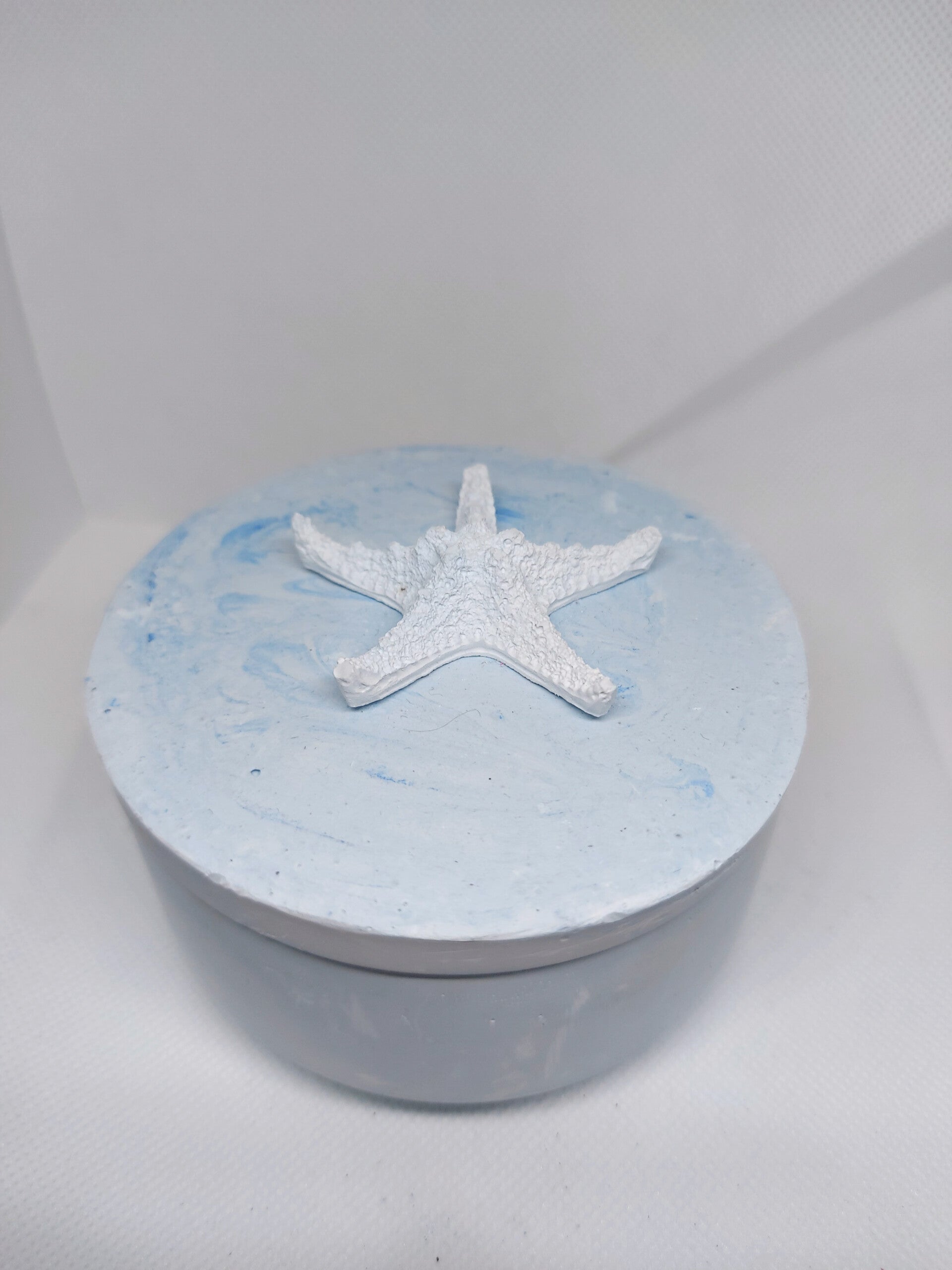 cofanetto stella marina