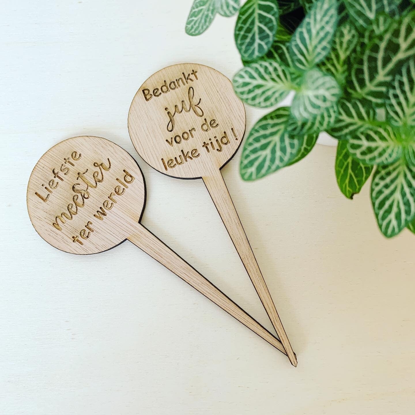 Plantensteker - Liefste juf/meester