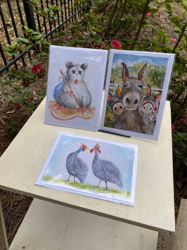 Note Cards