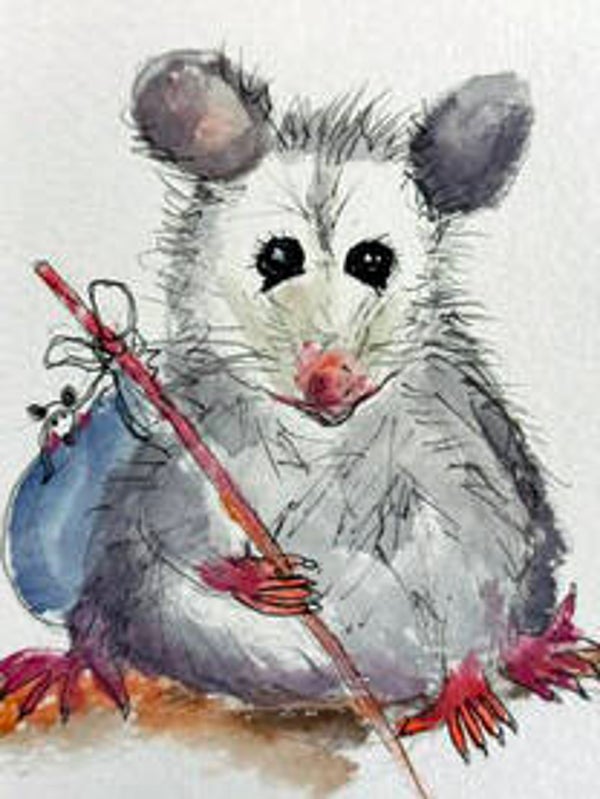 Coming soon - The Tale of Two O'possums