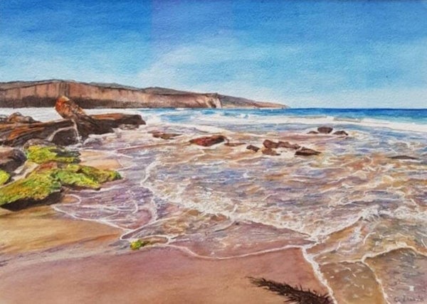 Anglesea Shoreline