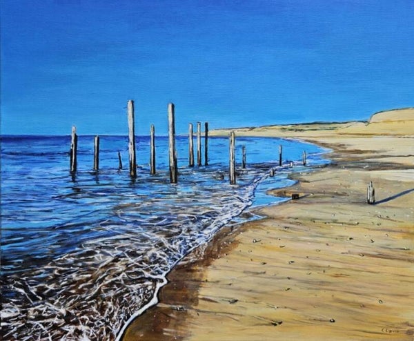 Port Willunga Remnants