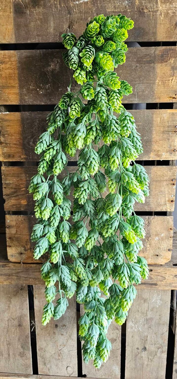 Brynxz kunsthangplant