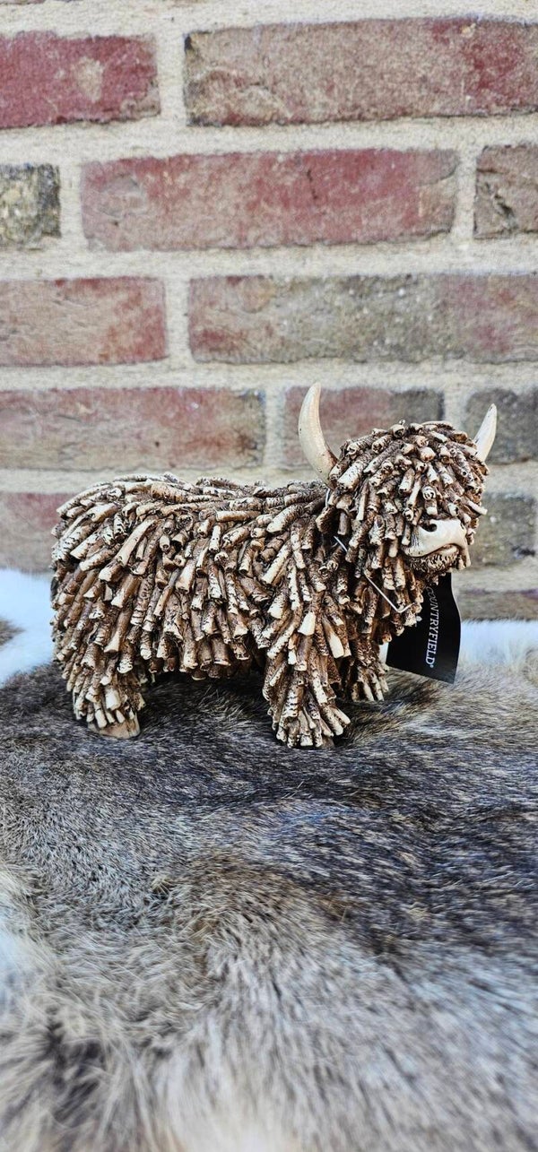 Schotse Hooglander van Countryfield
