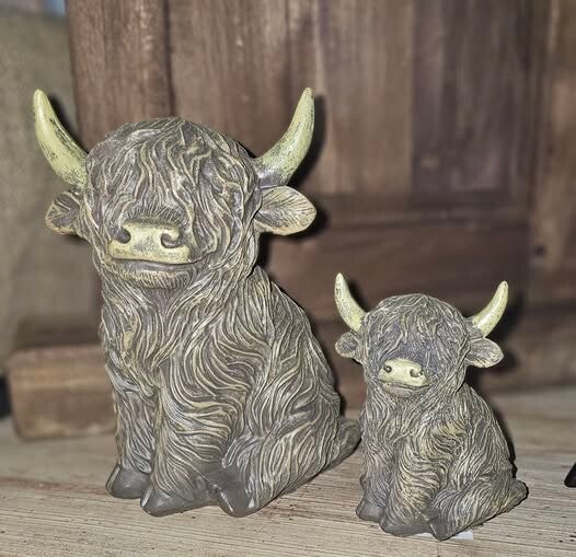 Set Schotse hooglanders