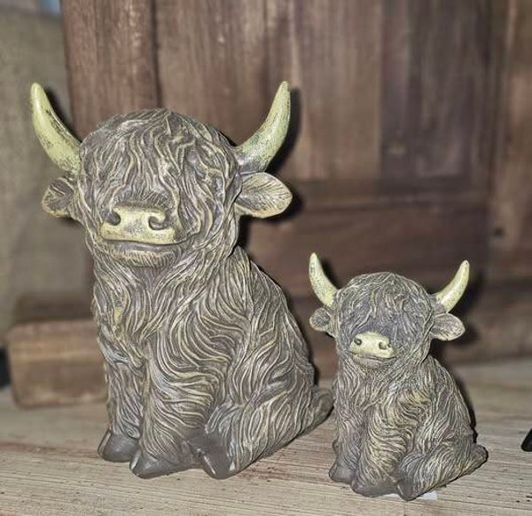 Set Schotse hooglanders