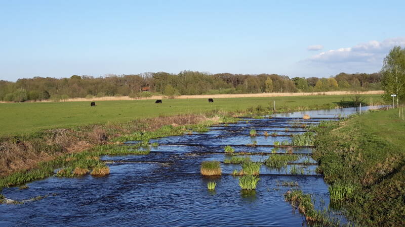Vechtnevengeul Mariënberg