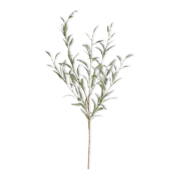 Eucalyptus tak groen 123 cm