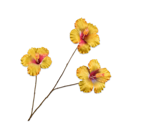 Hibiscus tak geel/oranje 85 cm