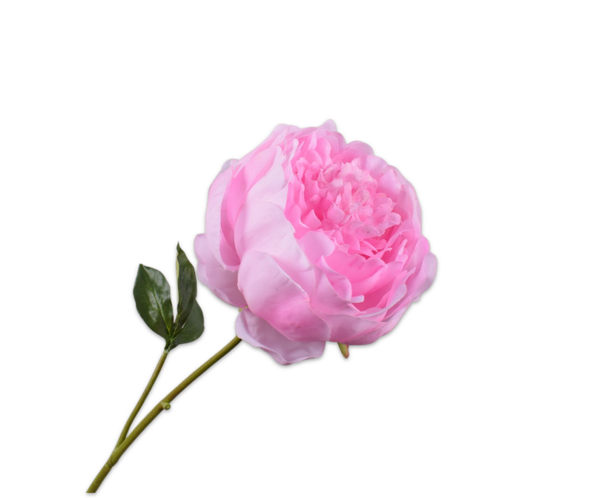 Pioenroos roze 52  cm