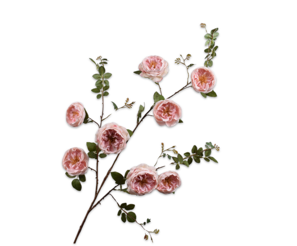 Roos tak roze 128 cm