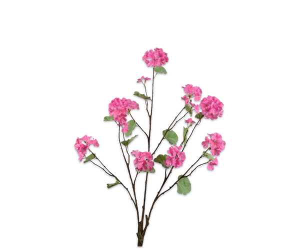 Geranium bush roze 92 cm