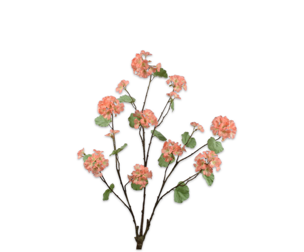 Geranium bush oranje 92 cm