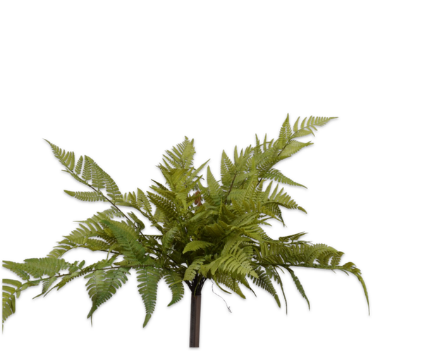 Varen bush groen 52 cm