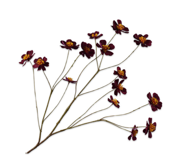 Cosmos tak paars 94 cm