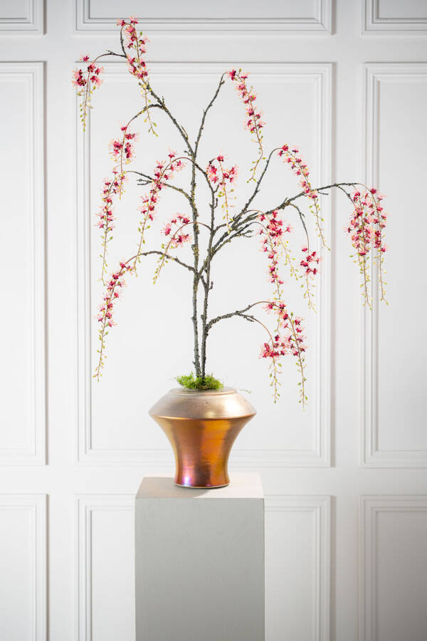 Capparis tak bordeaux 131 cm