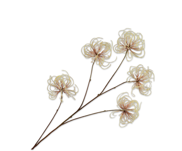 Clematis tak geel/bruin 95 cm