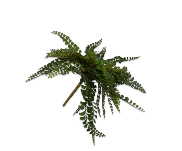 Varen bush groen 40 cm