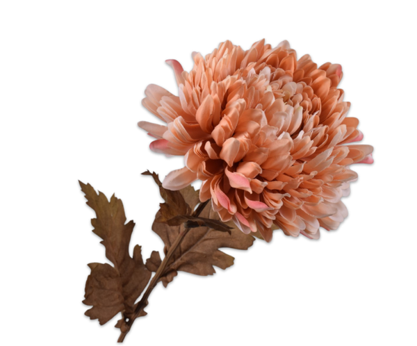Chrysant steel bruin/lila
