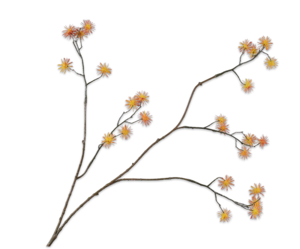 Distel tak geel/oranje