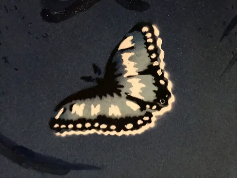 haube-costa-rica-schmetterling-iiiii-5-jpg-standard.webp