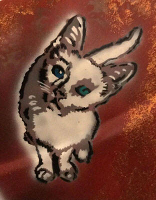 haube-tuerkei-3-katze-4-standard.jpg