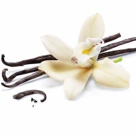 Fondant parfumé Vanille des Iles