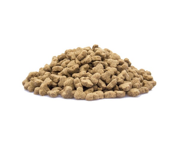 Senior Light - Overgewicht - 10KG