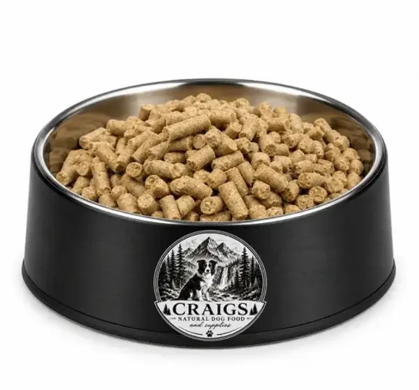 Adult - Super Premium Excellent, 10kg