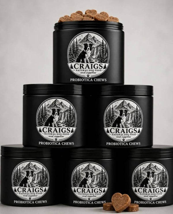 Probiotica Supplement