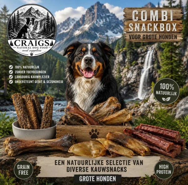 Snackbox grote hond