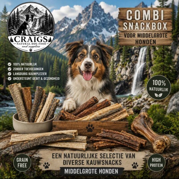 Snackbox middelgrote hond