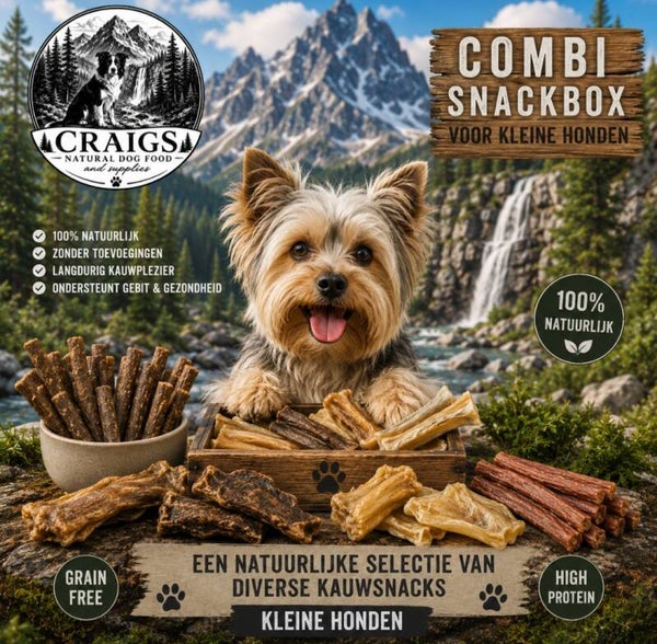 Snackbox kleine hond