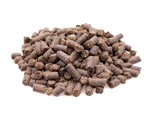 Adult, Active - 10kg
