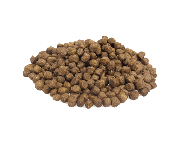 Adult, MINI krokante brokken, 10kg