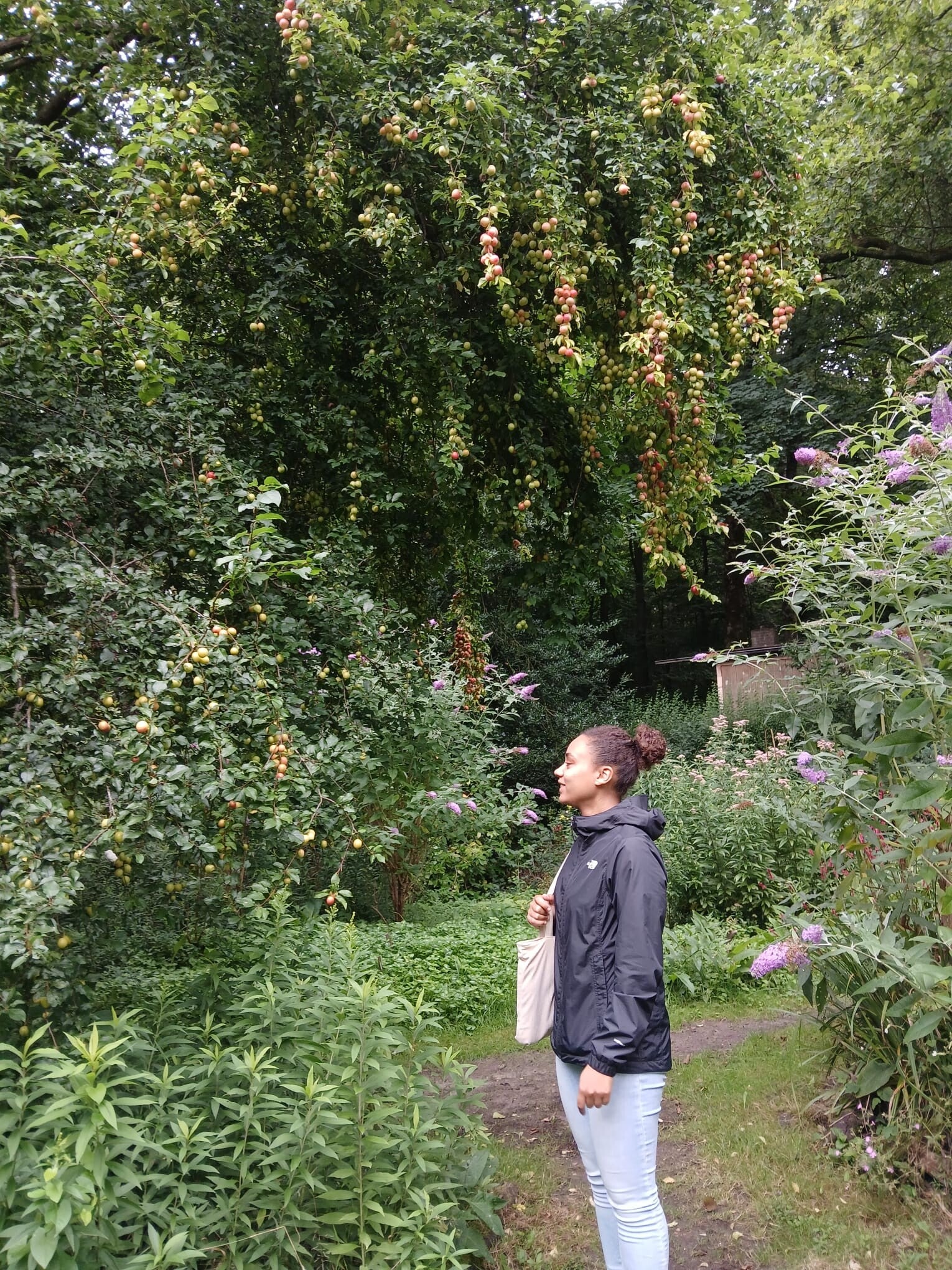 Ayesha in een park