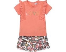Zomerset Dirkje