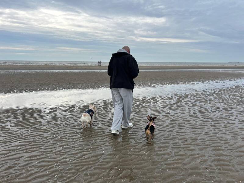 Wandelen voor senioren