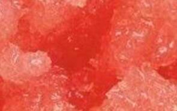 Peach Lip Scrub