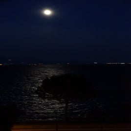 77d2d004-44e0-4f56-9139-ec678284ec62.jpeg