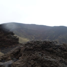 482a8316-2eea-48c3-a186-d79e0382217a.jpeg