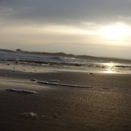 a42d28c7-6926-4e90-8ea8-b14a52cfa799.jpeg
