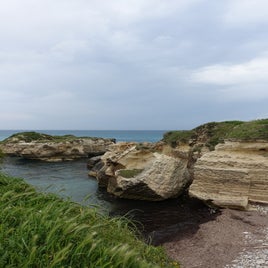 5e797253-6228-44b1-bd14-012ed0960f28.jpeg