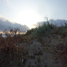 8c67d432-5210-4386-9b5c-5617f5506806.jpeg
