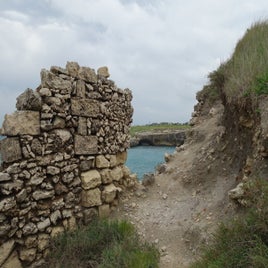 d5d6caa0-3997-41c4-bab1-eb010743054b.jpeg