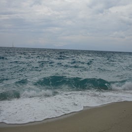1b97f59b-d719-48f7-b376-91ab72a104cf.jpeg