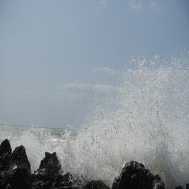 7e1e5f55-ffb5-4d16-aec8-09bb41ff3af2.jpeg