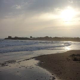 de1869c3-c171-4276-b156-206bf24c2ff8.jpeg